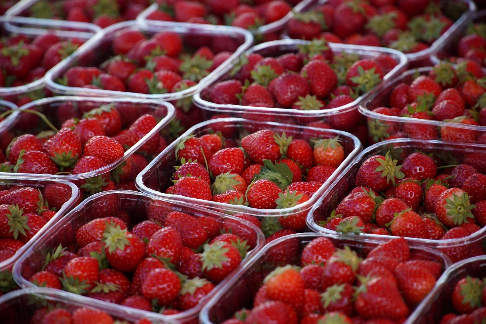 Como Escolher Morango Bom na Caixinha: Dicas para Não Levar Fruta Mole para Casa